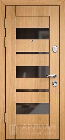 Фото №2 «Входная дверь в частный дом утепленная с МДФ-панелью №22»